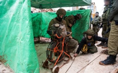 Operation Northern Shield