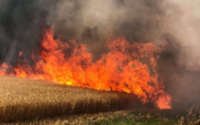 IDF Strikes Hamas Position Following Balloon Attack